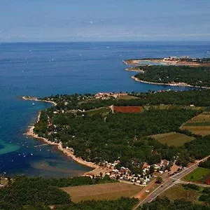 provjera dostupnosti